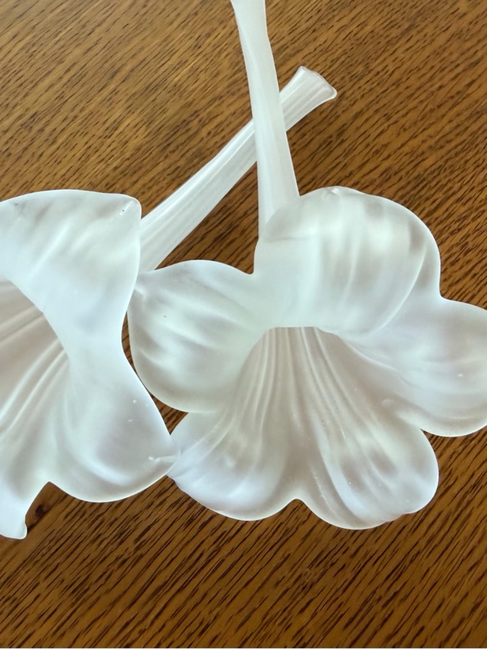 White Frosted Hibiscus Flower stem Holders